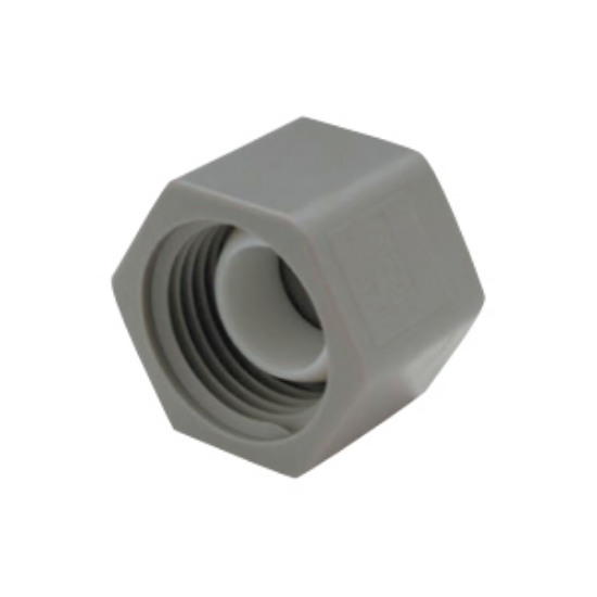 Picture of QEST Qicktite (R) 3/4" FPT Gray Acetal Test Cap  10-3143                                                                     