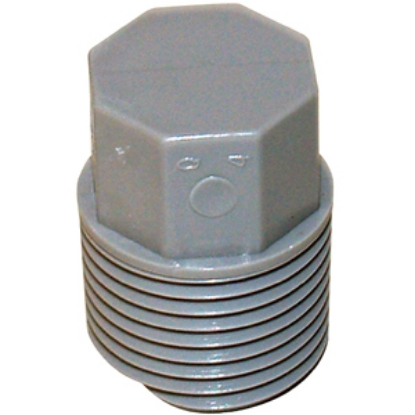 Picture of QEST Qicktite (R) 3/4" MPT Gray Acetal Test Plug  10-3161                                                                    